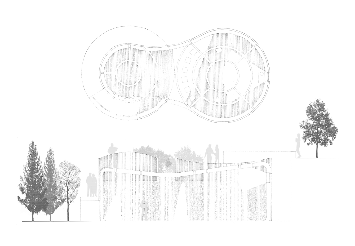 Plan and section
